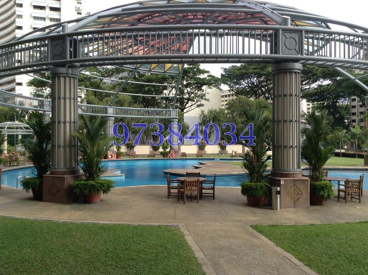 Oleander Towers (D12), Apartment #88735962